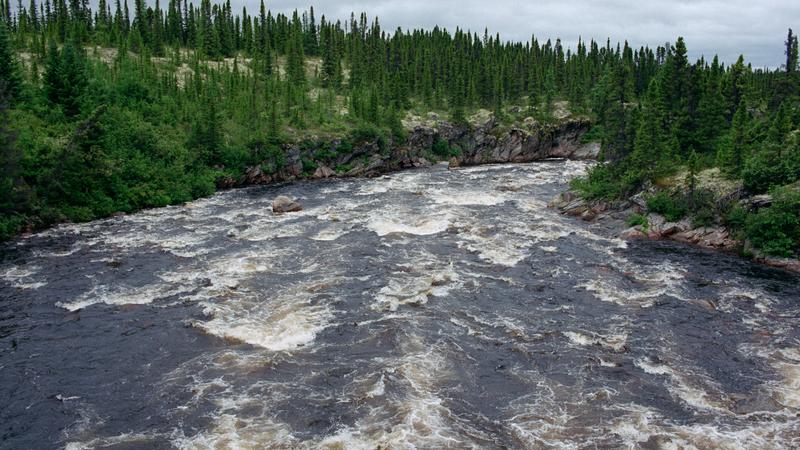 Parue dans : Labrador