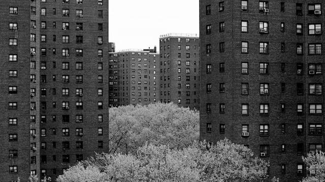 Parue dans : New York