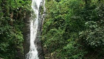 Parue dans : Loei