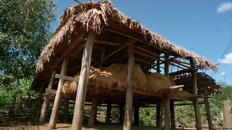 Parue dans : Umphang