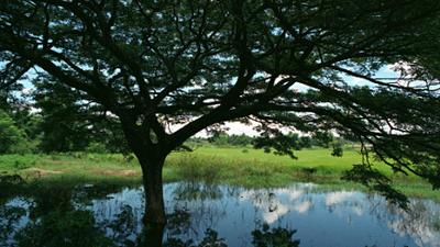 Parue dans : Nong Khai