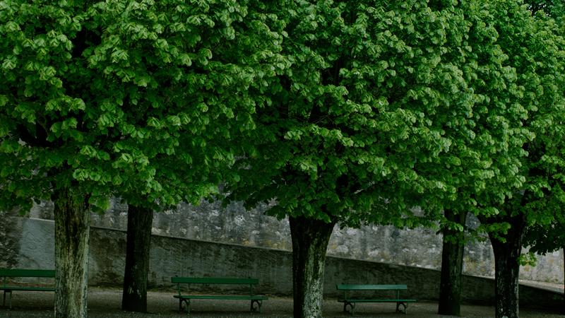 Parue dans : Savoie