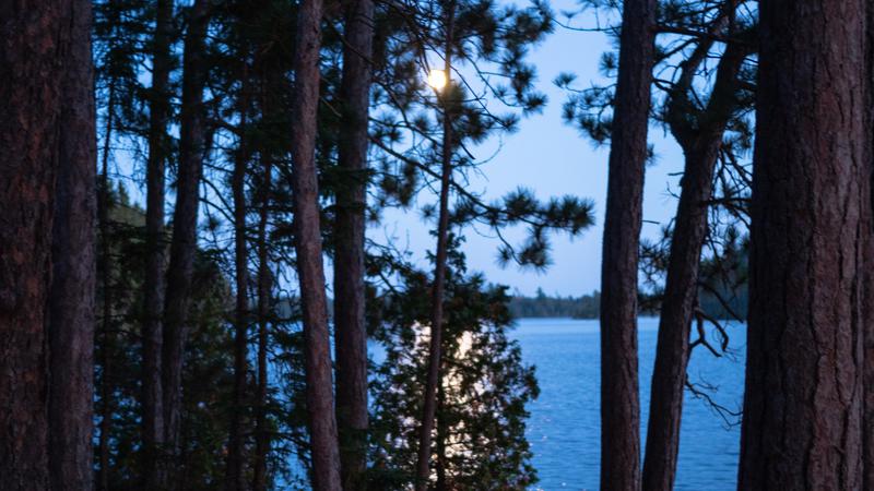 Parue dans : Canot-camping au lac Kipawa