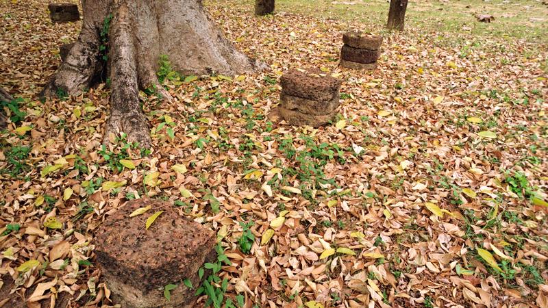 Parue dans : Kamphaeng Phet