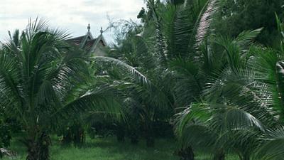 Parue dans : Phetchaburi