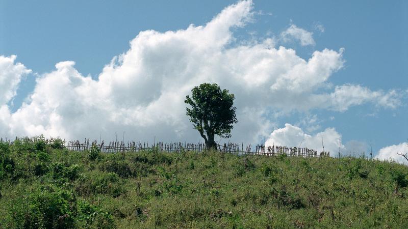 Parue dans : Umphang