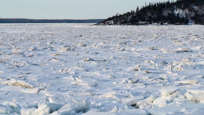 Parue dans : Le parc du Bic, l'hiver