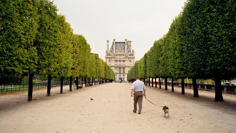 Parue dans : Paris