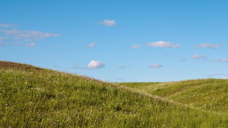Parue dans : La véloroute des Bleuets