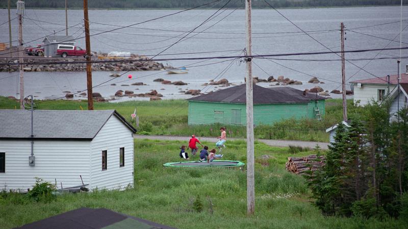 Parue dans : Labrador