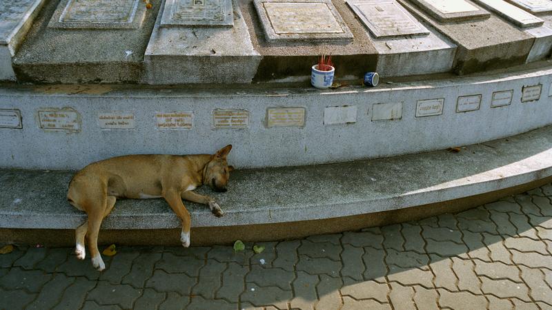 Parue dans : Les temples de Bangkok