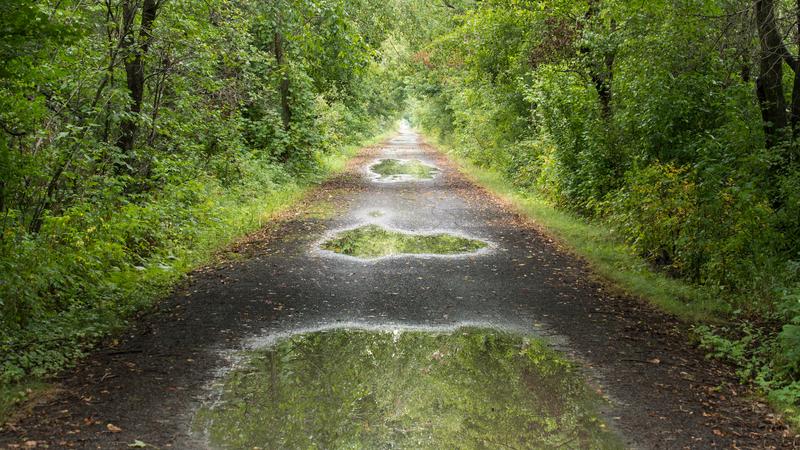 Parue dans : De Orford à Montréal à vélo