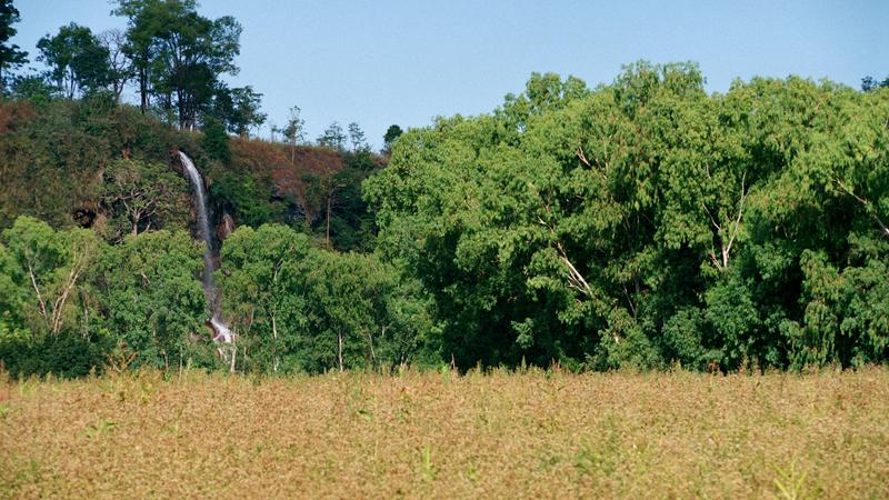 Parue dans : Umphang