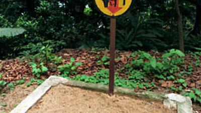 Parue dans : Hong Kong