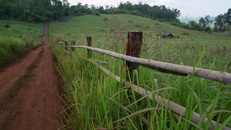 Parue dans : Umphang