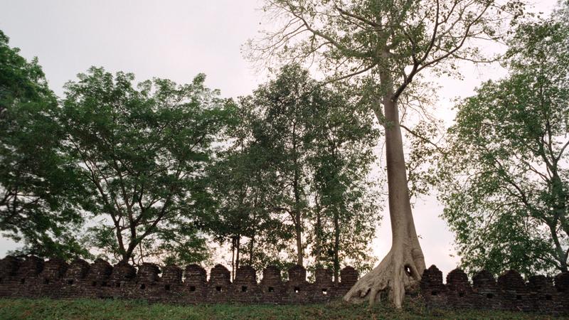 Parue dans : Kamphaeng Phet