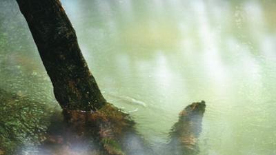 Parue dans : Kanchanaburi