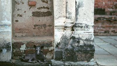 Parue dans : Sukhothai