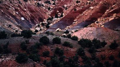 Parue dans : Utah