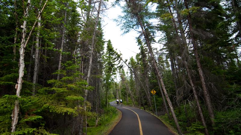 Parue dans : La véloroute des Bleuets