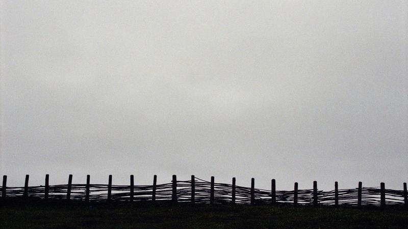 Parue dans : Terre-Neuve, l'été