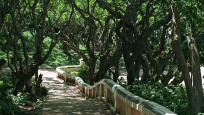 Parue dans : Phetchaburi