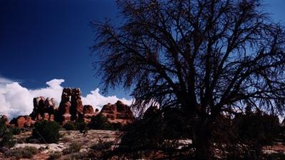 Parue dans : Utah