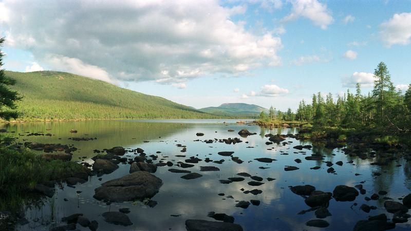 Parue dans : Panoramas sur les Chic-Chocs