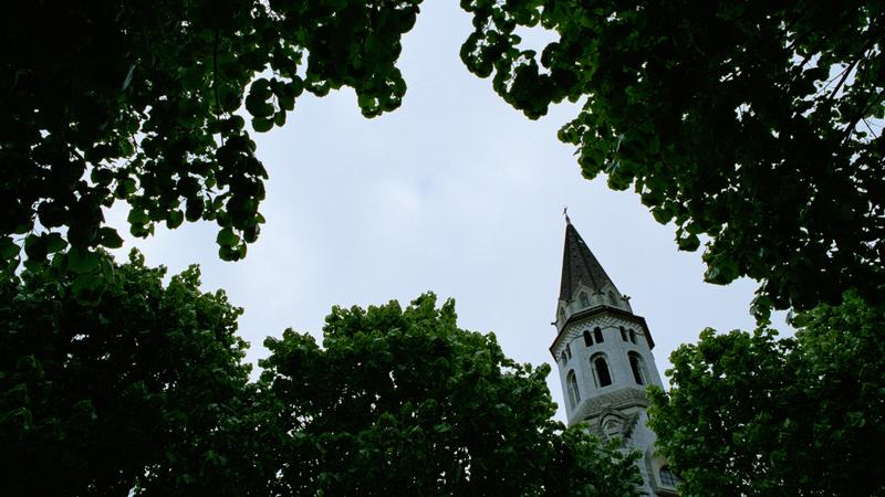Parue dans : Savoie