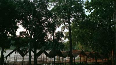 Parue dans : Loei