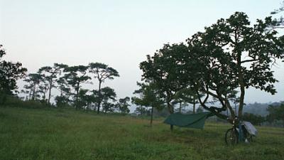 Parue dans : Loei