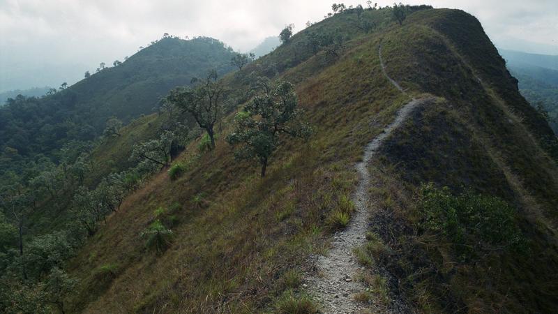 Parue dans : Umphang