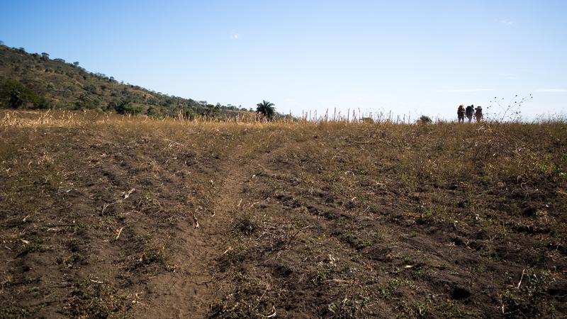 Parue dans : Volcan Telica