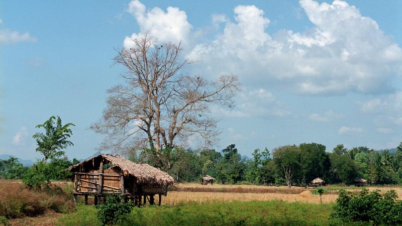 Parue dans : Umphang