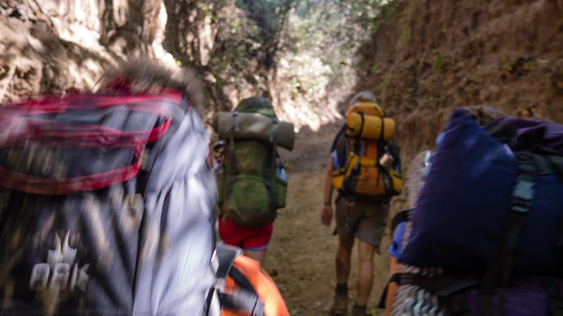Parue dans : Volcan Telica