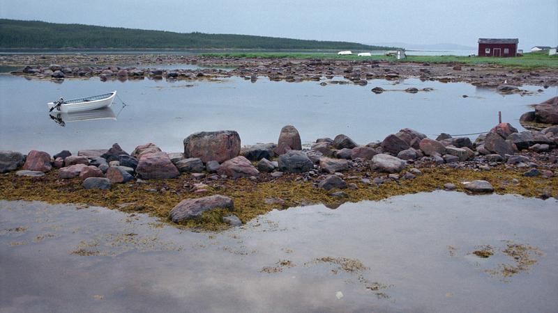 Parue dans : Labrador