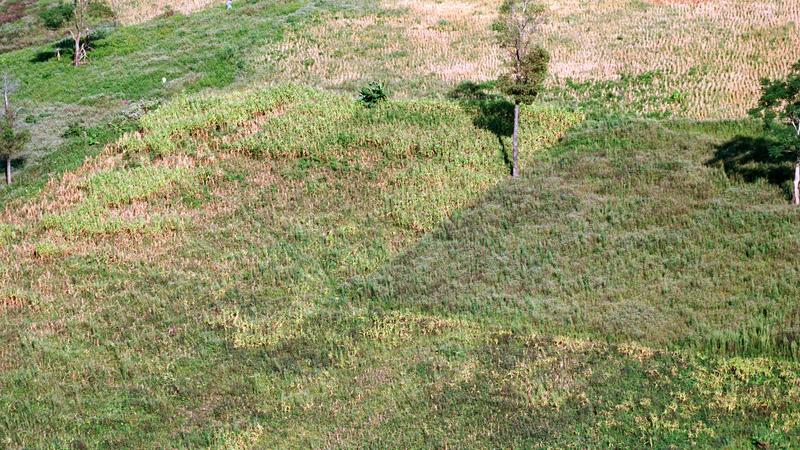 Parue dans : Umphang