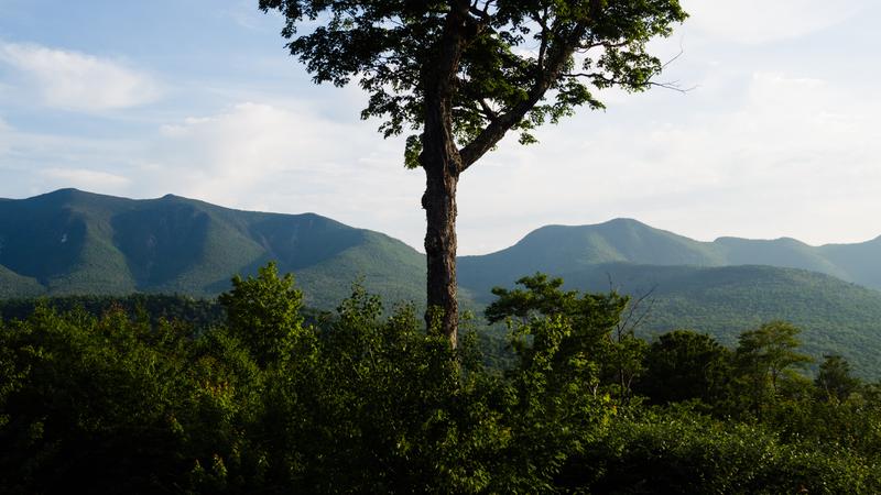Parue dans : Mont Lafayette