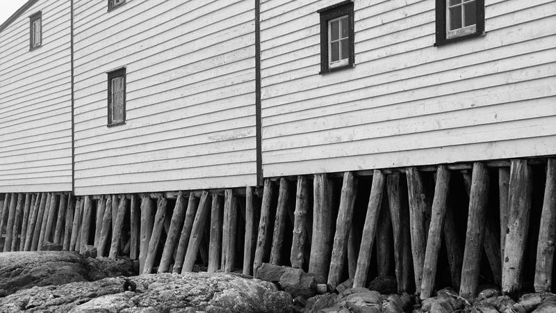 Parue dans : Labrador