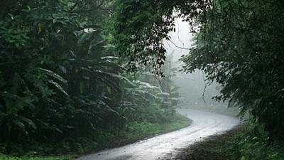 Parue dans : Loei