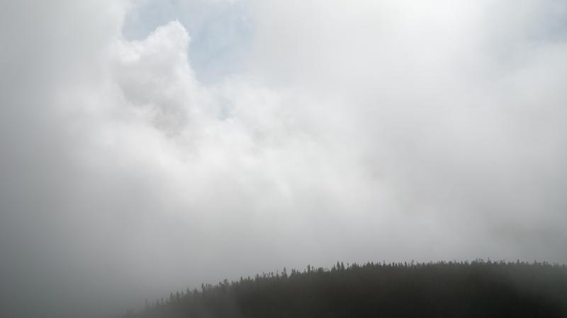 Parue dans : Mont Cascade