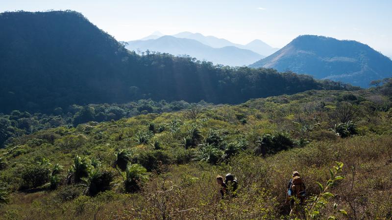 Parue dans : Volcan Telica