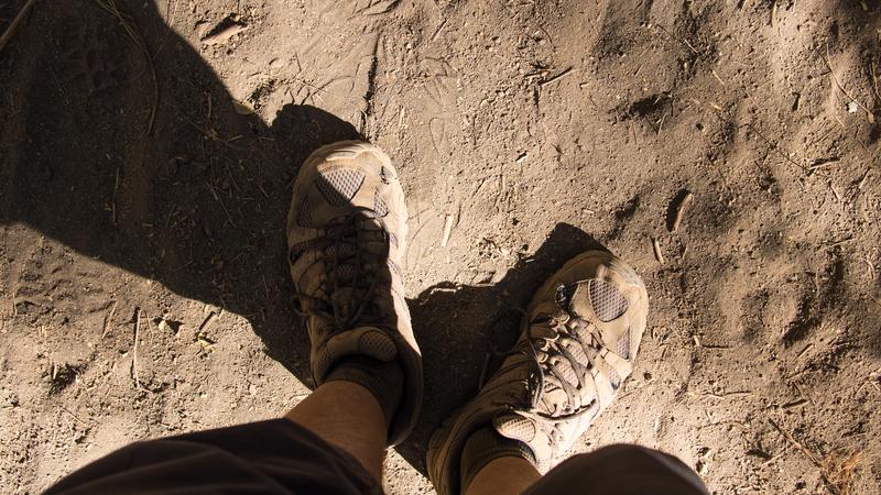 Parue dans : Volcan Telica