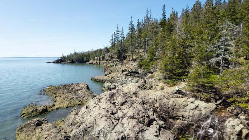 Parue dans : Cape Split