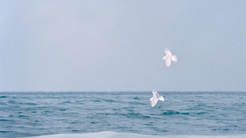 Parue dans : Quand les barques se reposent