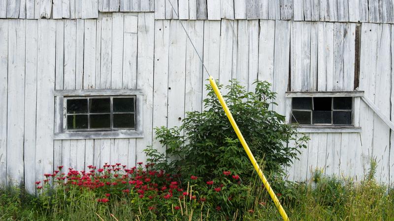 Parue dans : Quelques kilomètres aux alentours de Rivière-Rouge