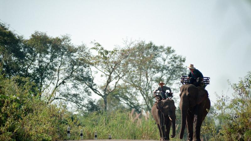 Parue dans : Umphang