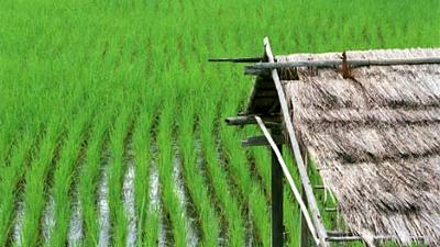 Parue dans : Loei