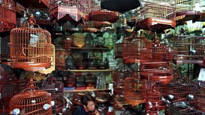 Parue dans : Hong Kong