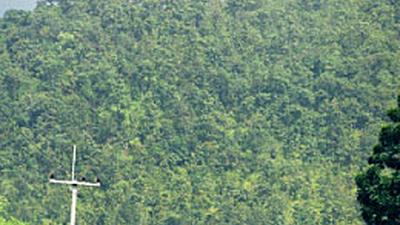 Parue dans : Loei